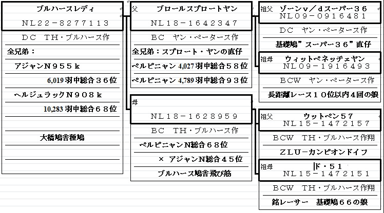nl22-8277113.jpg