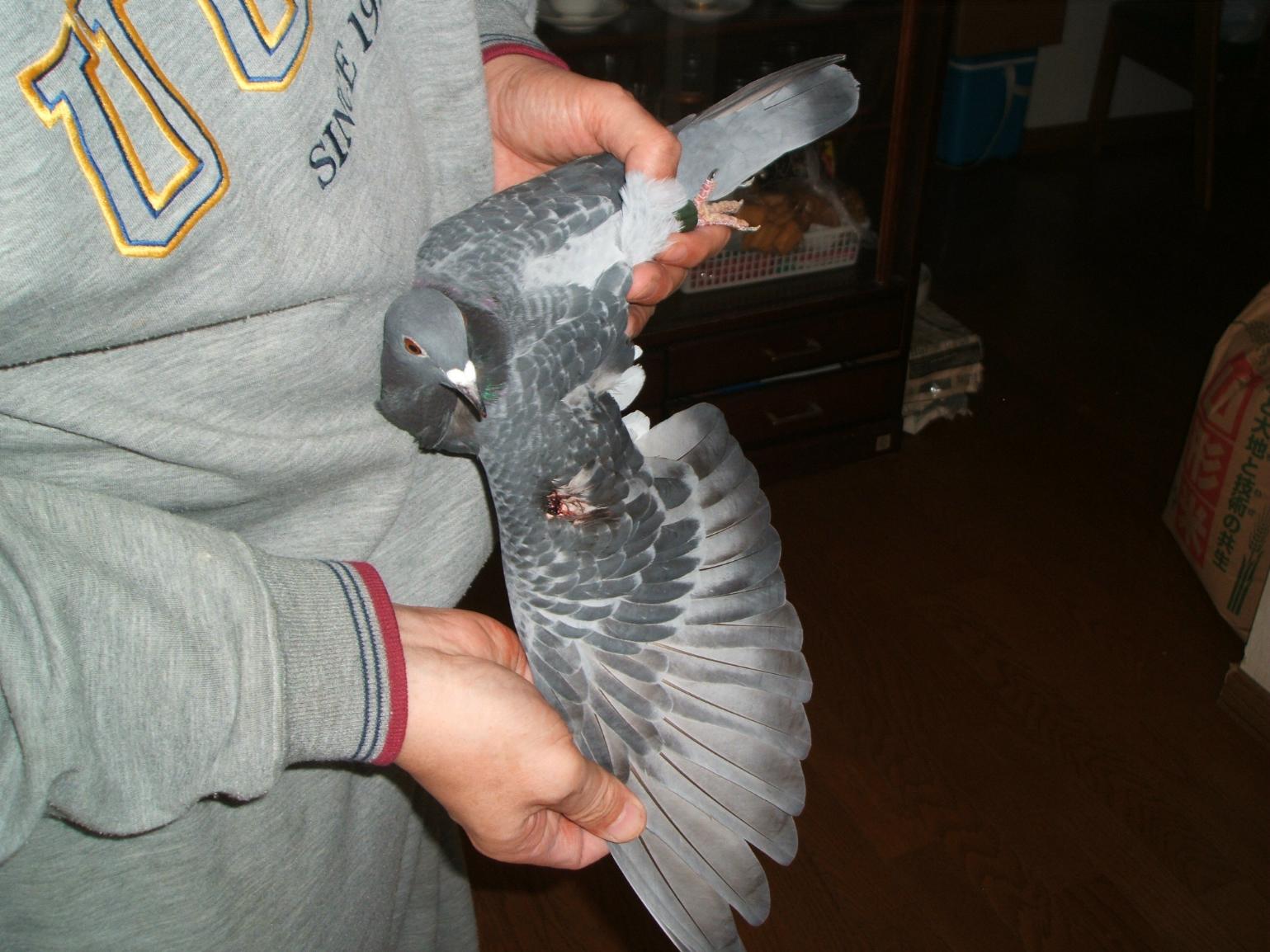 2012moukinhigai.jpg