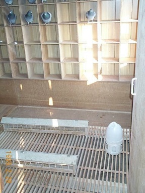 Pict0003.JPG