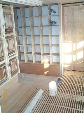 Pict0008.JPG