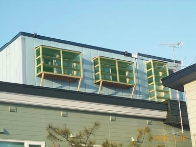 Pict0016.JPG