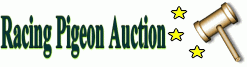 auction_title.gif