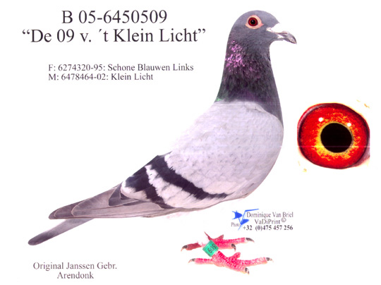 b05_6450509yy.jpg