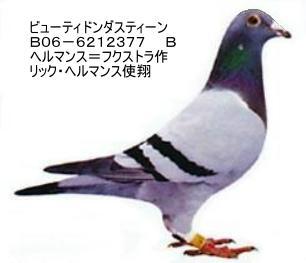 beautydonda.jpg