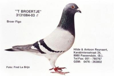 buroa-tye.jpg