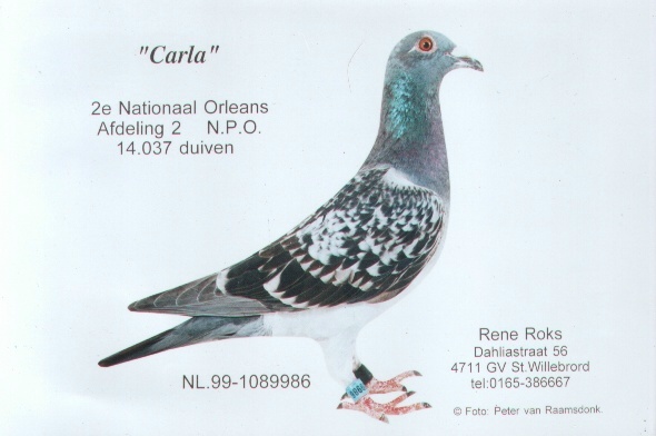 carla.jpg