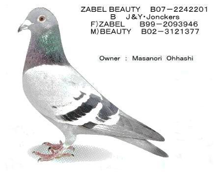 zaberubeauty11.jpg