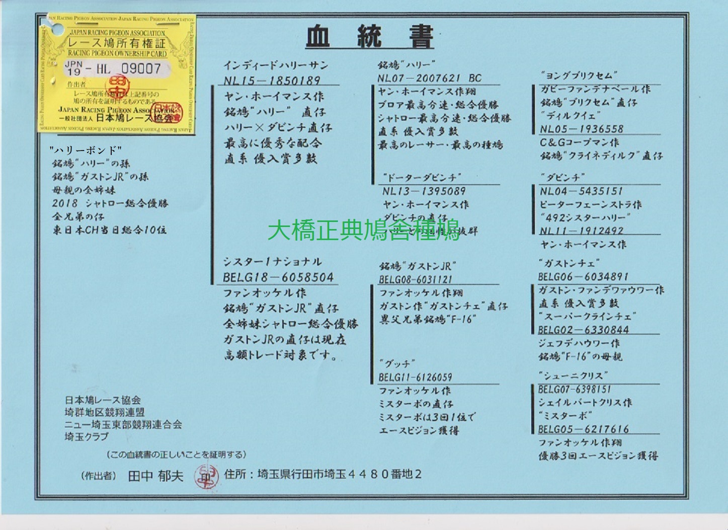 ハリーボンド.jpg